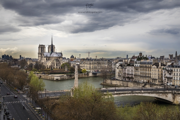 paris-notre dame baja-W1A2478-1